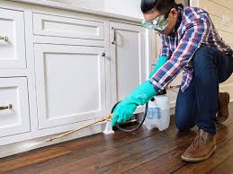 Best Real Estate Pest Inspections  in Grandview Heights, OH